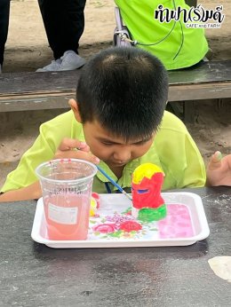 โรงเรียน บ้านเนินตอง หนองขาม ศรีราชา 26 กันยายน 2568