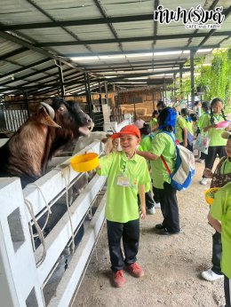 โรงเรียน บ้านเนินตอง หนองขาม ศรีราชา 26 กันยายน 2568