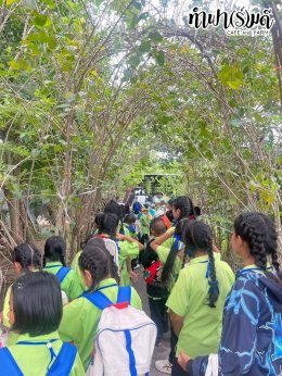 โรงเรียน บ้านเนินตอง หนองขาม ศรีราชา 26 กันยายน 2568