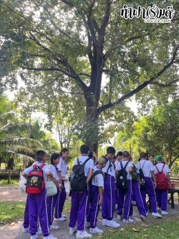 โรงเรียนปัญญานฤมิต 14 สิงหาคม 2568