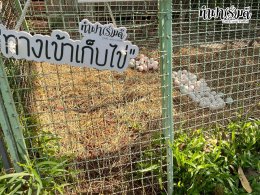 โรงเรียนวัดปากน้ำโจ้โล้ 10 ตุลาคม 2568