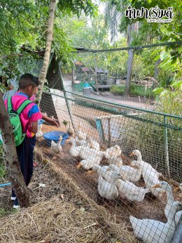 โรงเรียนวัดปากน้ำโจ้โล้ 10 ตุลาคม 2568