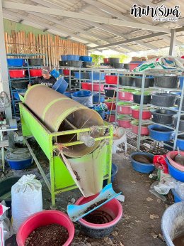 คณะวิทยาศาสตร์ มหาวิทยาลัยบูรพา 22 ธันวาคม 2568