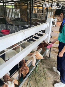 โรงเรียนมารีวิทย์ บ่อวิน 29 ตุลาคม 2568