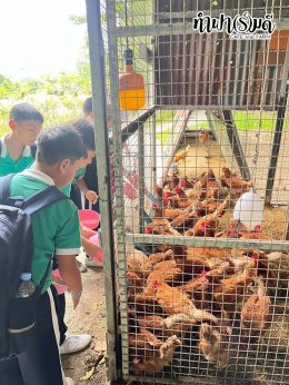 โรงเรียนมารีวิทย์ บ่อวิน 29 ตุลาคม 2568