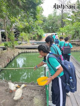 โรงเรียนมารีวิทย์ บ่อวิน 29 ตุลาคม 2568