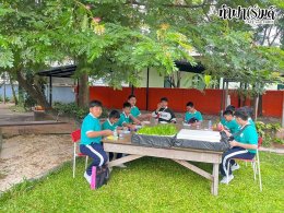 โรงเรียนมารีวิทย์ บ่อวิน 30 ตุลาคม 2568