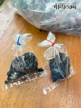 โรงเรียนมารีวิทย์ บ่อวิน 31 ตุลาคม 2568