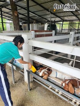 โรงเรียนมารีวิทย์ บ่อวิน 31 ตุลาคม 2568