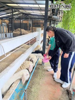 โรงเรียนมารีวิทย์ บ่อวิน 31 ตุลาคม 2568