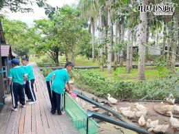 โรงเรียนมารีวิทย์ บ่อวิน 31 ตุลาคม 2568