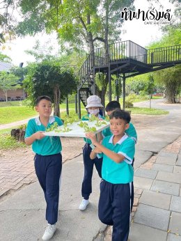 โรงเรียนมารีวิทย์ บ่อวิน 31 ตุลาคม 2568