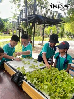 โรงเรียนมารีวิทย์ บ่อวิน 31 ตุลาคม 2568