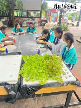 โรงเรียนมารีวิทย์ บ่อวิน 31 ตุลาคม 2568