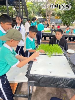 โรงเรียนมารีวิทย์ บ่อวิน 31 ตุลาคม 2568