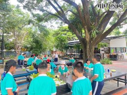 โรงเรียนมารีวิทย์ บ่อวิน 31 ตุลาคม 2568