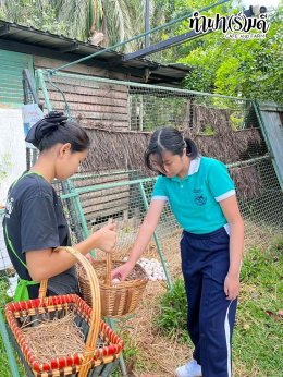 โรงเรียนมารีวิทย์พัทยา 03 พฤศจิกายน 2568