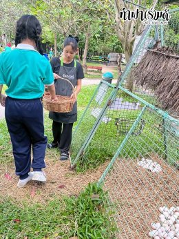 โรงเรียนมารีวิทย์พัทยา 03 พฤศจิกายน 2568