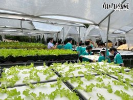 โรงเรียนมารีวิทย์พัทยา 03 พฤศจิกายน 2568