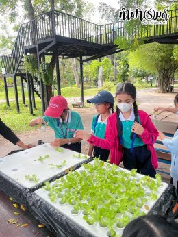 โรงเรียนมารีวิทย์พัทยา 03 พฤศจิกายน 2568