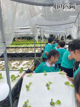 โรงเรียนมารีวิทย์พัทยา 03 พฤศจิกายน 2568