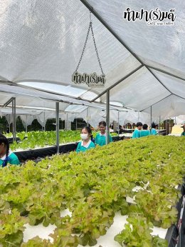 โรงเรียนมารีวิทย์พัทยา 03 พฤศจิกายน 2568