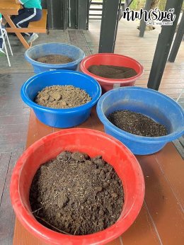 โรงเรียนมารีวิทย์พัทยา 03 พฤศจิกายน 2568