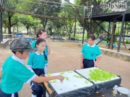 โรงเรียนมารีวิทย์พัทยา 03 พฤศจิกายน 2568