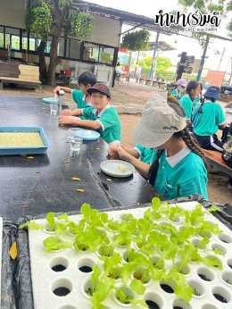 โรงเรียนมารีวิทย์พัทยา 03 พฤศจิกายน 2568