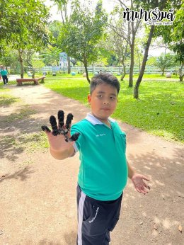 โรงเรียนมารีวิทย์พัทยา 03 พฤศจิกายน 2568