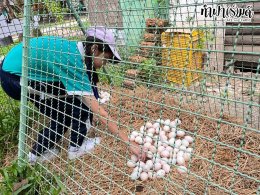 โรงเรียนมารีวิทย์พัทยา 03 พฤศจิกายน 2568