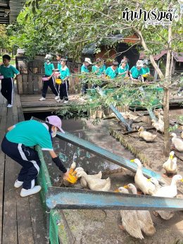 โรงเรียนมารีวิทย์พัทยา 03 พฤศจิกายน 2568