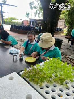 โรงเรียนมารีวิทย์พัทยา 04 พฤศจิกายน 2568