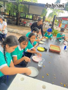 โรงเรียนมารีวิทย์พัทยา 04 พฤศจิกายน 2568