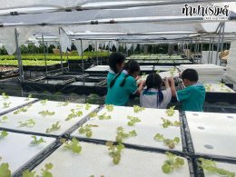 โรงเรียนมารีวิทย์พัทยา 04 พฤศจิกายน 2568