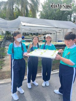 โรงเรียนมารีวิทย์พัทยา 04 พฤศจิกายน 2568