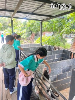 โรงเรียนมารีวิทย์พัทยา 04 พฤศจิกายน 2568