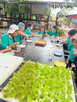 โรงเรียนมารีวิทย์พัทยา 04 พฤศจิกายน 2568