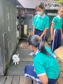 โรงเรียนมารีวิทย์พัทยา 04 พฤศจิกายน 2568