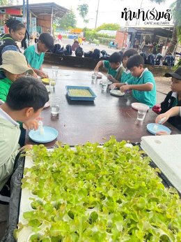 โรงเรียนมารีวิทย์พัทยา 04 พฤศจิกายน 2568