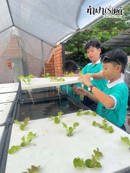 โรงเรียนมารีวิทย์พัทยา 04 พฤศจิกายน 2568