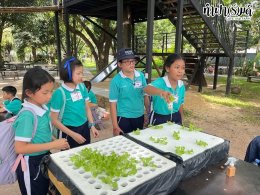 โรงเรียนมารีวิทย์ ระยอง 06 สิงหาคม 2568
