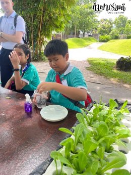 โรงเรียนมารีวิทย์ ระยอง 06 สิงหาคม 2568