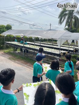 โรงเรียนมารีวิทย์ ระยอง 06 สิงหาคม 2568