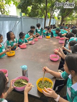 โรงเรียนมารีวิทย์ ระยอง 06 สิงหาคม 2568