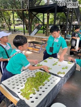 โรงเรียนมารีวิทย์ ระยอง 06 สิงหาคม 2568