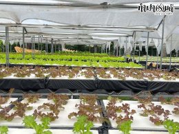 โรงเรียนมารีวิทย์ สัตหีบ 05 พฤศจิกายน 2568