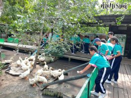 โรงเรียนมารีวิทย์ สัตหีบ 05 พฤศจิกายน 2568