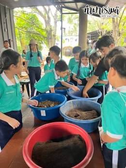 โรงเรียนมารีวิทย์ สัตหีบ 05 พฤศจิกายน 2568