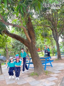 โรงเรียนมารีวิทย์ สัตหีบ 05 พฤศจิกายน 2568